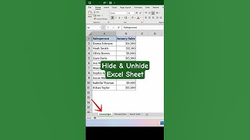 Excel Shortcuts: Hide & Unhide Sheets in One Click!