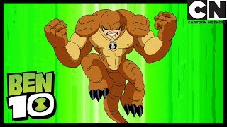 Бен 10 на русском | Кошачьи когокти | Cartoon Network Бен 10 на русском | Кошачьи когокти | Cartoon Network