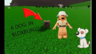How to build a dog in Bloxburg (Roblox) How to build a dog in Bloxburg (Roblox)