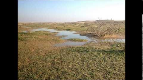 تﻻوة بصوت القارئ عبدالله عوض البشري