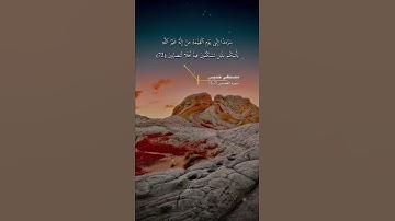 سورة القصص الاية 71-73