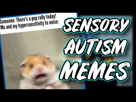 autism-sensory-memes---autism-meme-review