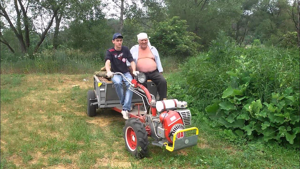 Процедура оформления