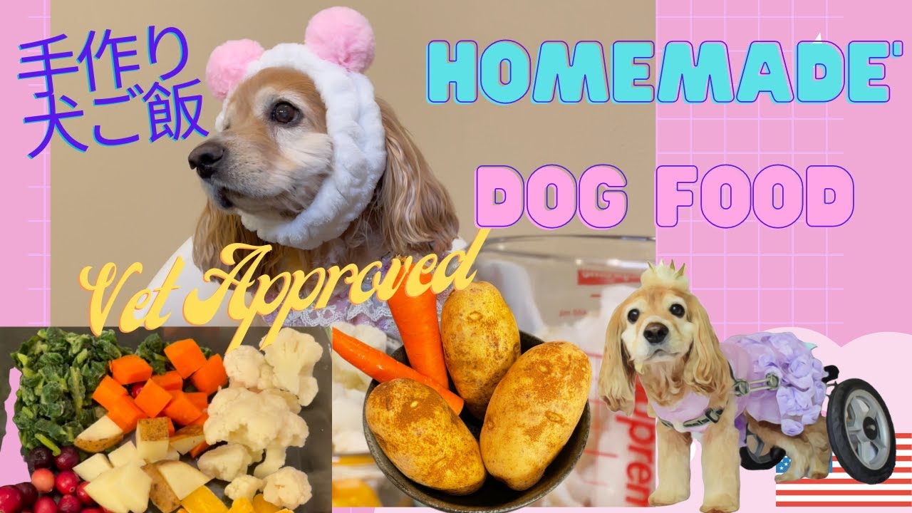Homemade Dog Food Formulated By A Board Certified Veterinary Nutritionist. For allergies, 手作り犬