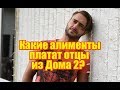 Какие алименты платят детям отцы - участники? Дома 2  Новости дома2