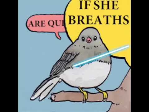 if-she-breathes-she's-a-thot-|-annoyed-bird-meme