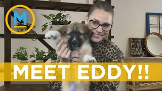 Kelsey reveals her new puppy and our hosts can't handle the cuteness | Your Morning