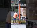 Self-Lifting Transporter Semi-Full-Electric Hydraulic Forklift 500kg #lifter Unloading Cargo