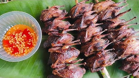 BẪY CHIM CÚT NGÀY VÀ ĐÊM - CÚT NƯỚNG