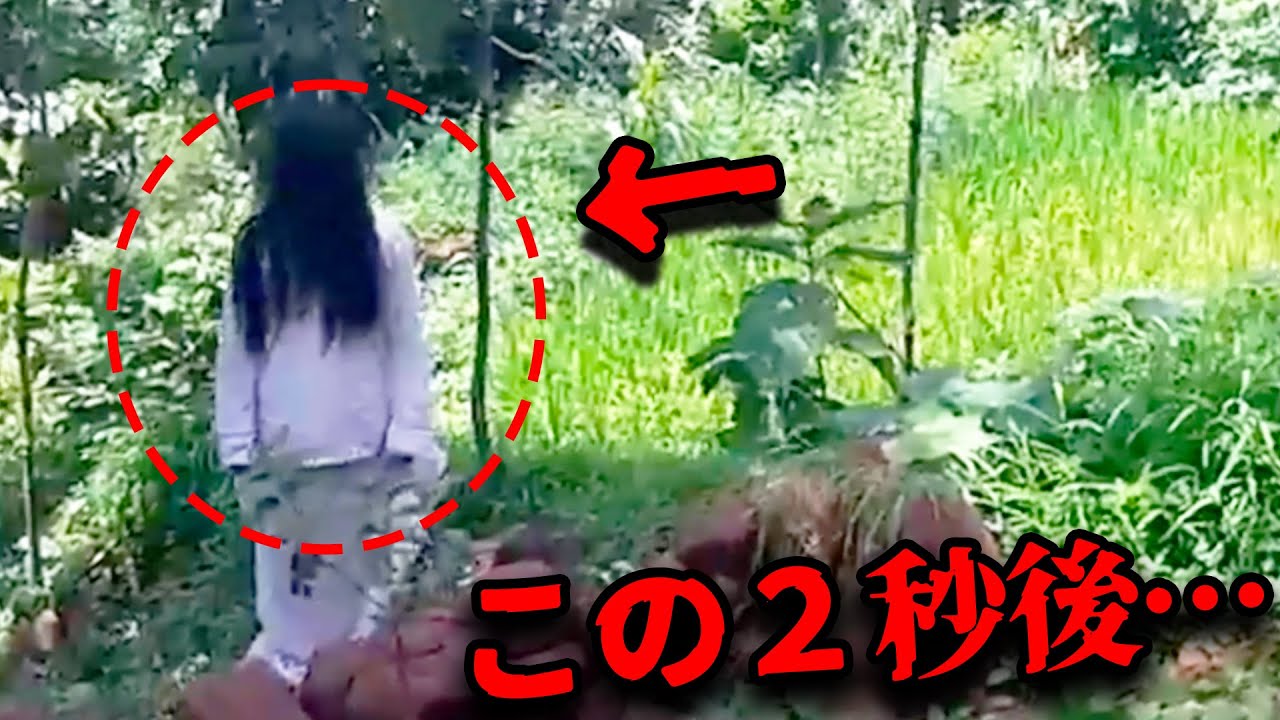 【GW限定】「※ショッキングな映像が流れます」TVでは絶対に放映不可なトラウマ心霊映像集【総集編】