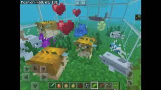 Behind the scenes - NampunVideos Minecraft Trailer: Breedable Fish Add-On screenshot 4