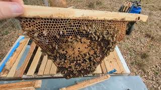 Checking on and Correcting a Top Bar Hive