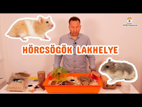 Videó: Milyen Fajta Törpehörcsög