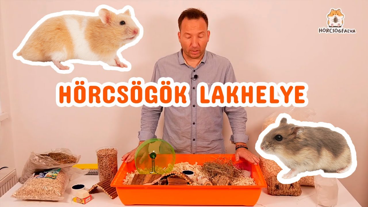 testsúlycsökkenés icd9
