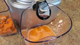 Breville - The Big Squeeze - First Cup of Juice Review - Cold Press Slow Juicer