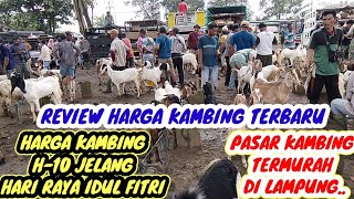 H10 Goat Prices Ahead Of Eid Alfitr 2026adi Jaya Goat Market