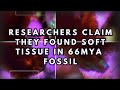 Researchers claimed tissue from 66mya fossil: Fact or fraud?
