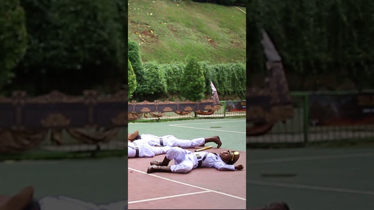 ВИРУСНАЯ ПАСКИБРА