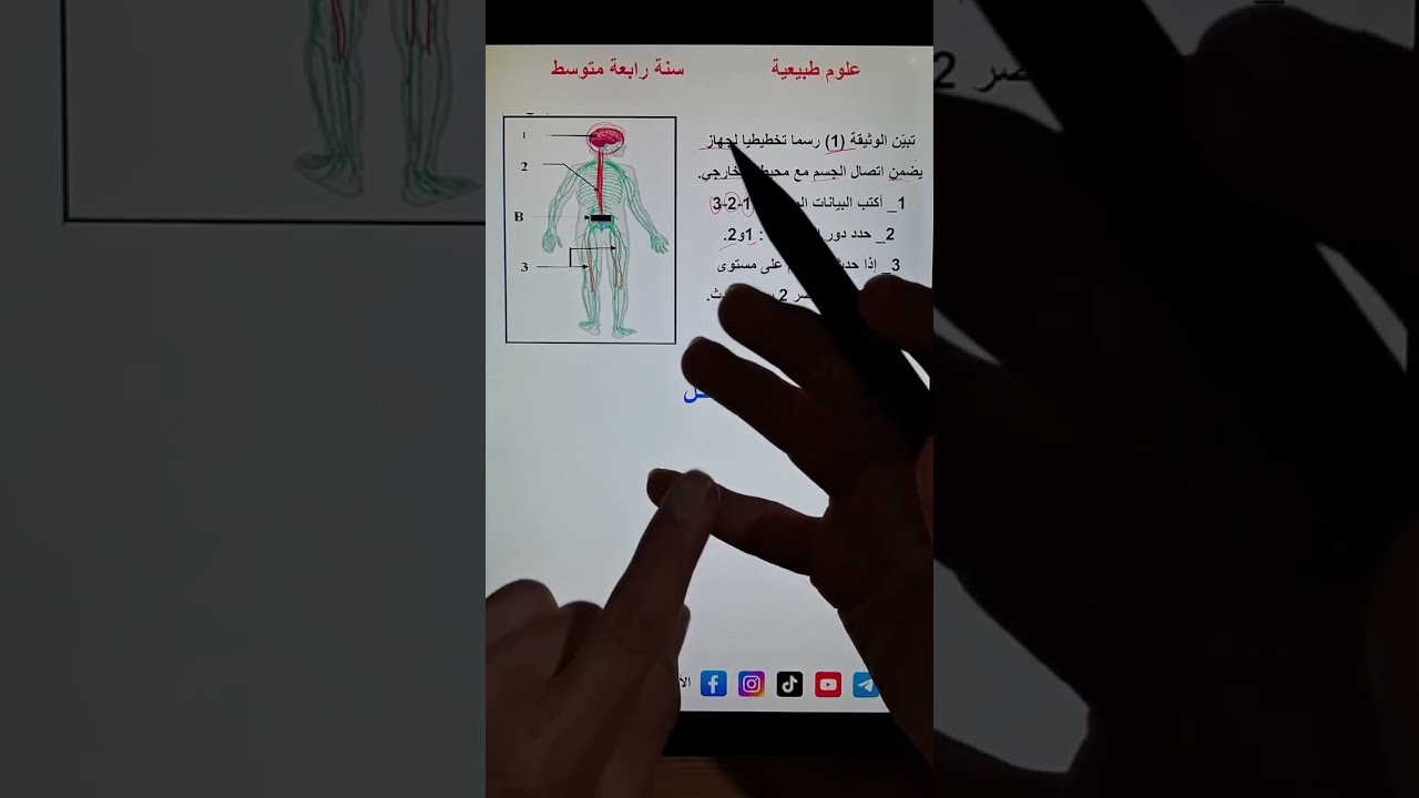 تمرين عن الجهاز العصبي