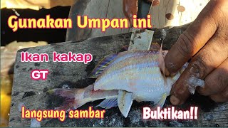 Buktikan || Cara membuat Umpan ikan dari ikan Kurisi, anti bengong langsung sambar @AMFishing2757