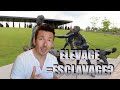 Elevage  esclavage 