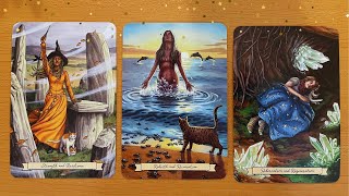  Unexpected Blessings And Changes Timeless Tarot Collective Reading Whimsical Tarot 