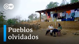 Controlar la enfermedad de Chagas con las comunidades I Fuerza Latina DW