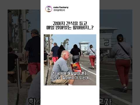 할아버지가 매일 공원에 앉아있는 이유? #귀여운 #강아지 #귀여움 #감동 thumbnail