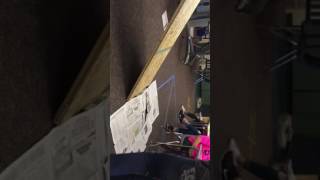 Egg Cart Demo