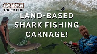 Two days of epic land based shark carnage with Go Fish Tours, Mossel bay