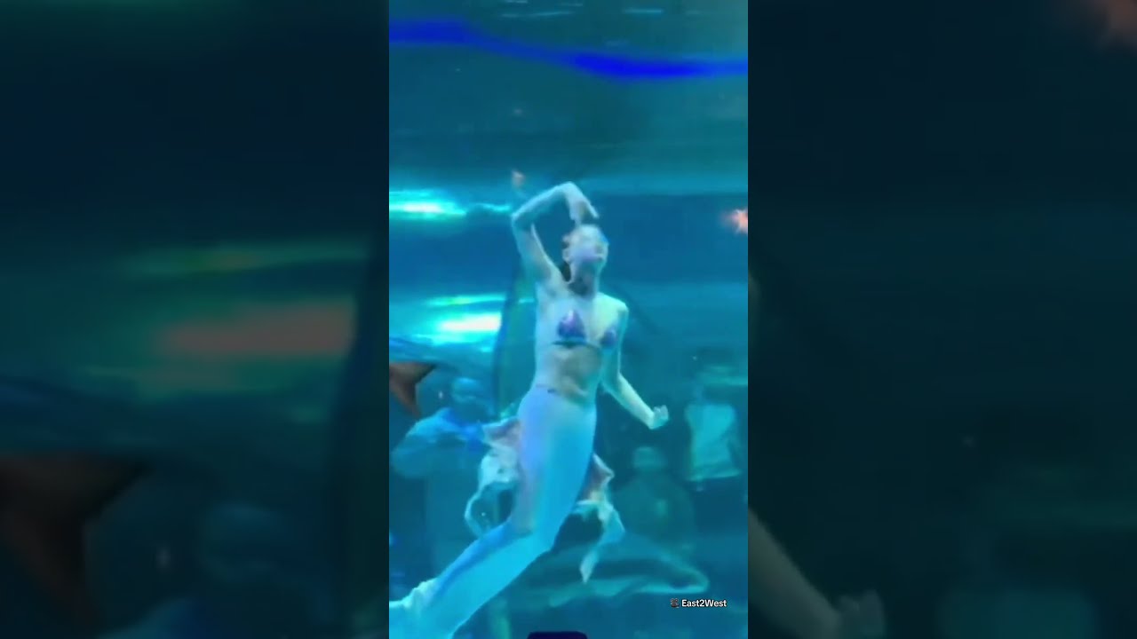 Giant Fish Attacks Mermaid Performer