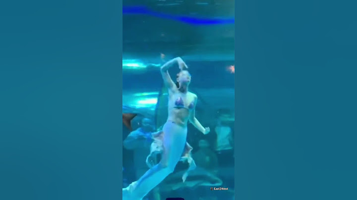 Giant fish attacks 'mermaid' performer
