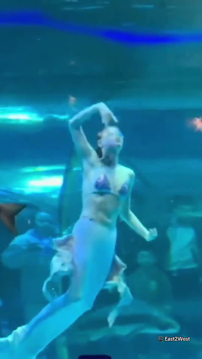 Giant fish attacks 'mermaid' performer