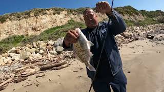 WIDE OPEN SURF PERCH FISHING IN SOCAL!!!