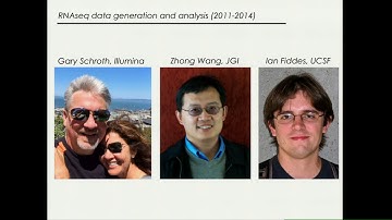D Stainier: Positional cloning of cloche, a gene that drives endothelial and hematopoietic lineage s