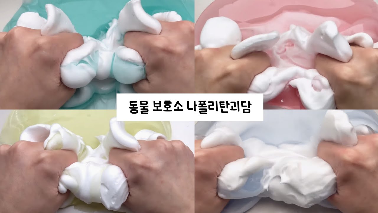 동물 보호소🐕 나폴리탄 시리즈액괴/나폴리탄/나폴리탄 괴담/나폴리탄 시리즈/나폴리탄 액괴/나폴리탄 시리즈액괴/나폴리탄 슬라임/슬라임 나폴리탄/시리즈 액괴/시리즈/시액/액시/밤떡