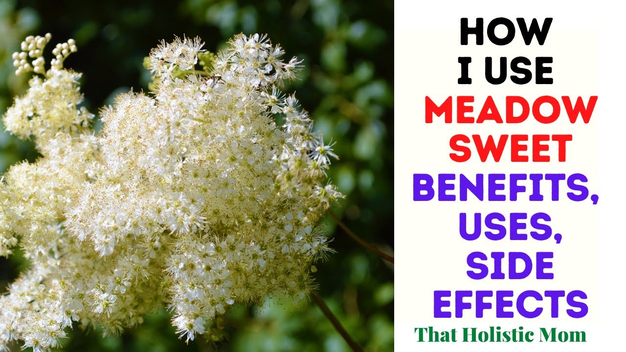 How I Use Meadowsweet