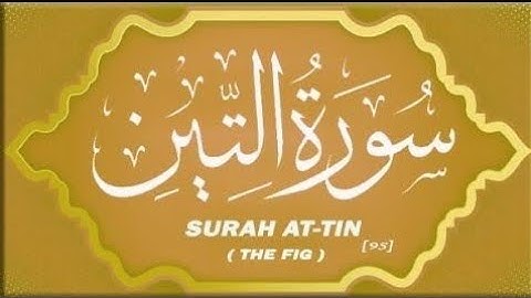 سورة التين|surat at tin|surah tin mishary al afasy
