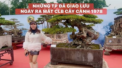 NHỮNG TP ĐÃ GIAO LƯU NGÀY RA MẮT CLB CÂY CẢNH 1978, QUA CHIA SẺ CỦA EM KIM CÚC