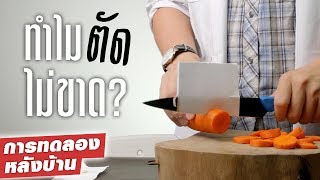 Cutting CARROT with PAPER!! It won't cut!?!