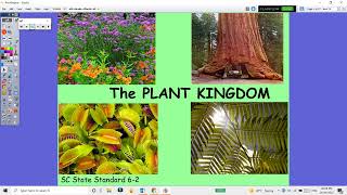 Activ Inspire flipchart creation plant kingdom screenshot 1