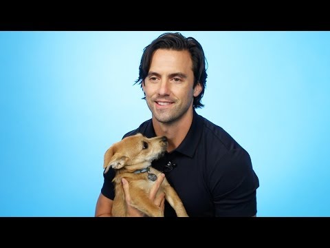 Milo Ventimiglia: "Rory needs to move on" | BuzzFeed