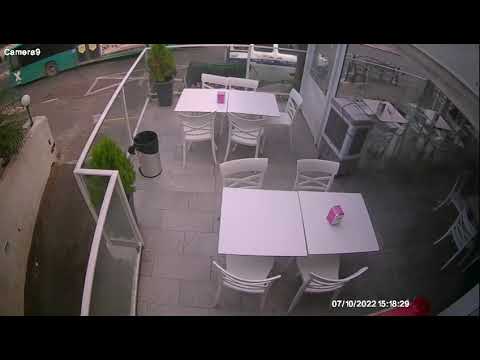 חזיר בר תוקף ילדה בחיפה 