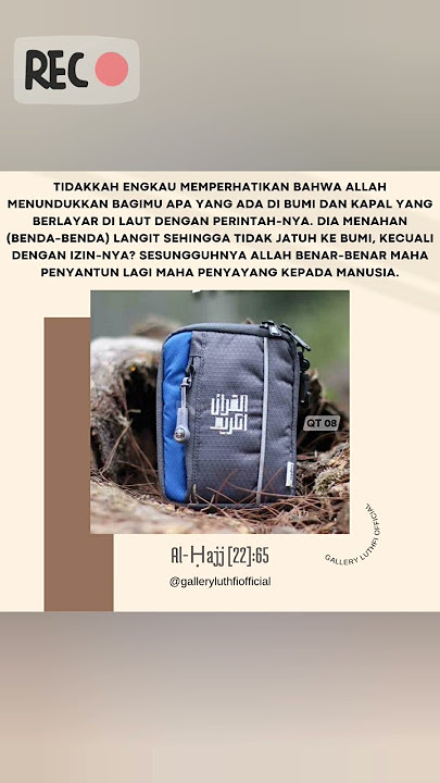 Terjemahan Surah Al-Hajj Ayat 65|Qs.Al-Hajj:65#allah#muhammadﷺ#galleryluthfiofficial#alquran#short