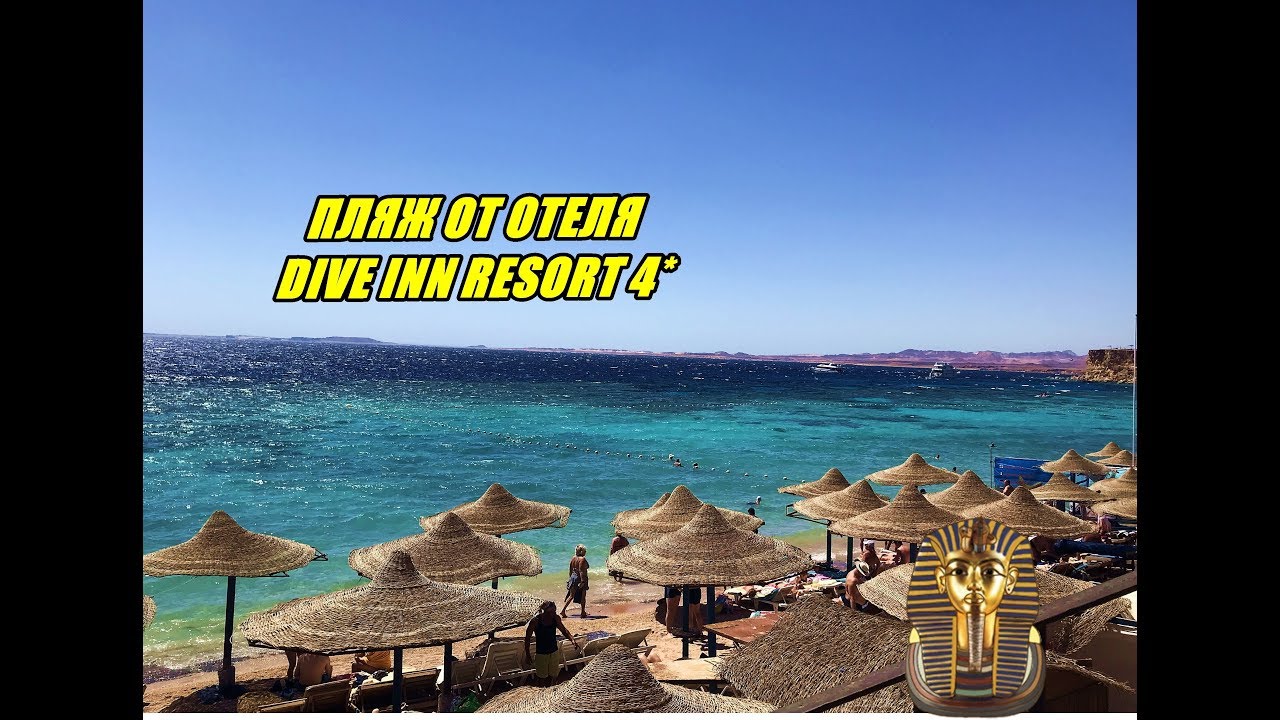 Dive inn resort 4 египет шарм эль шейх отзывы