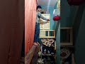 اخيرا جيبت عيون ومصطبه لحمام البلكونه علشان ننش الزغاليل 