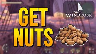 WINDROSE Tutorial | How to Get Nuts (Full Guide)