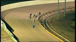 SHP MON 07 AUG 17 R11