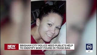 Autopsy completed for Brigham City body, but identity not determined