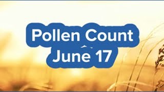 Recent rains lead to increase in mold in the air